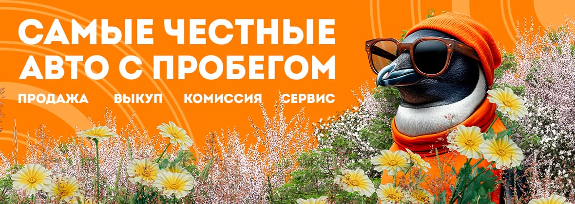 Пробегсервис